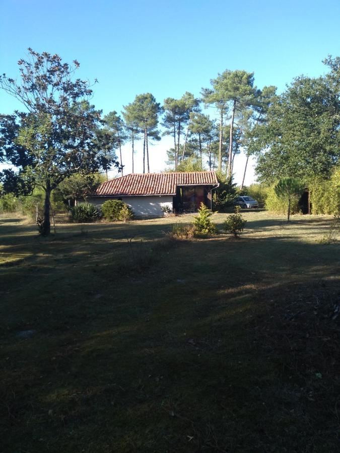 Pissos Maison Confortable Avec Terrasse En Bois Au Calme Sans Vis A Vis , 2 Chambres, Sur Un Parc De 4000M2 Arbore Et Clos מראה חיצוני תמונה